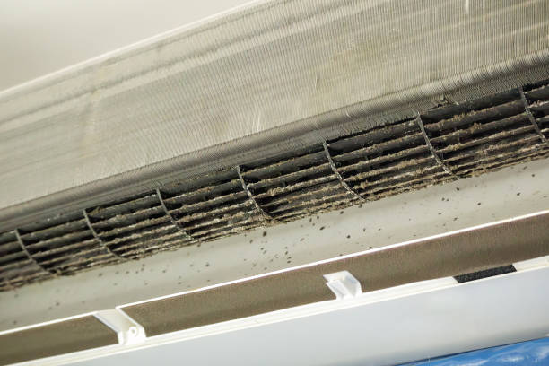 Best Air Duct Cleaning Company Near Me  in Riverton, WY